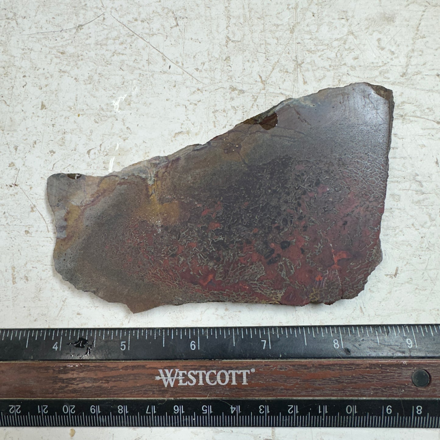 GEMBONE Dinosaur Bone Slab - 133 grams