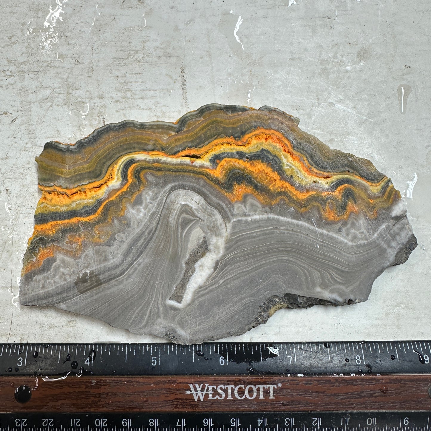 BUMBLEBEE ONYX Slab - 177 grams