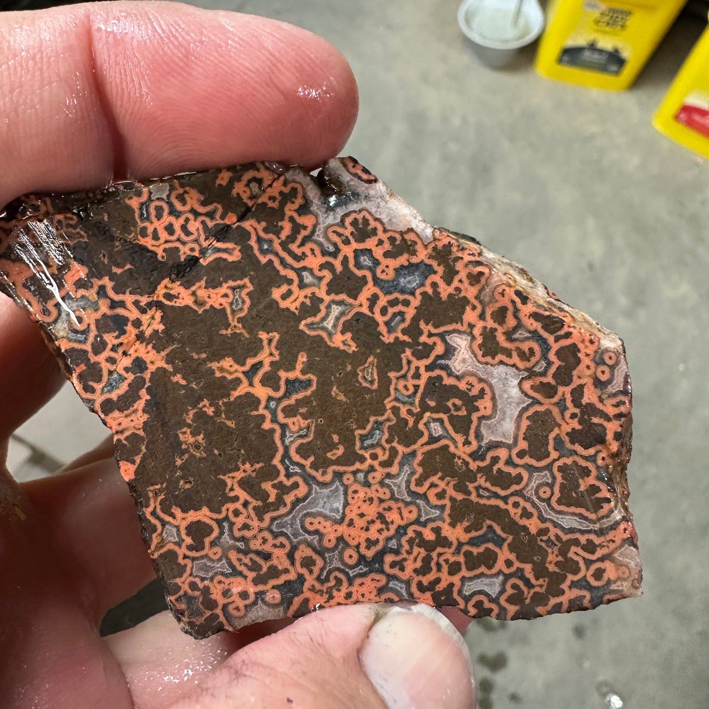 MOROCCAN SEAM AGATE Faced Rough - 0.67 Pounds