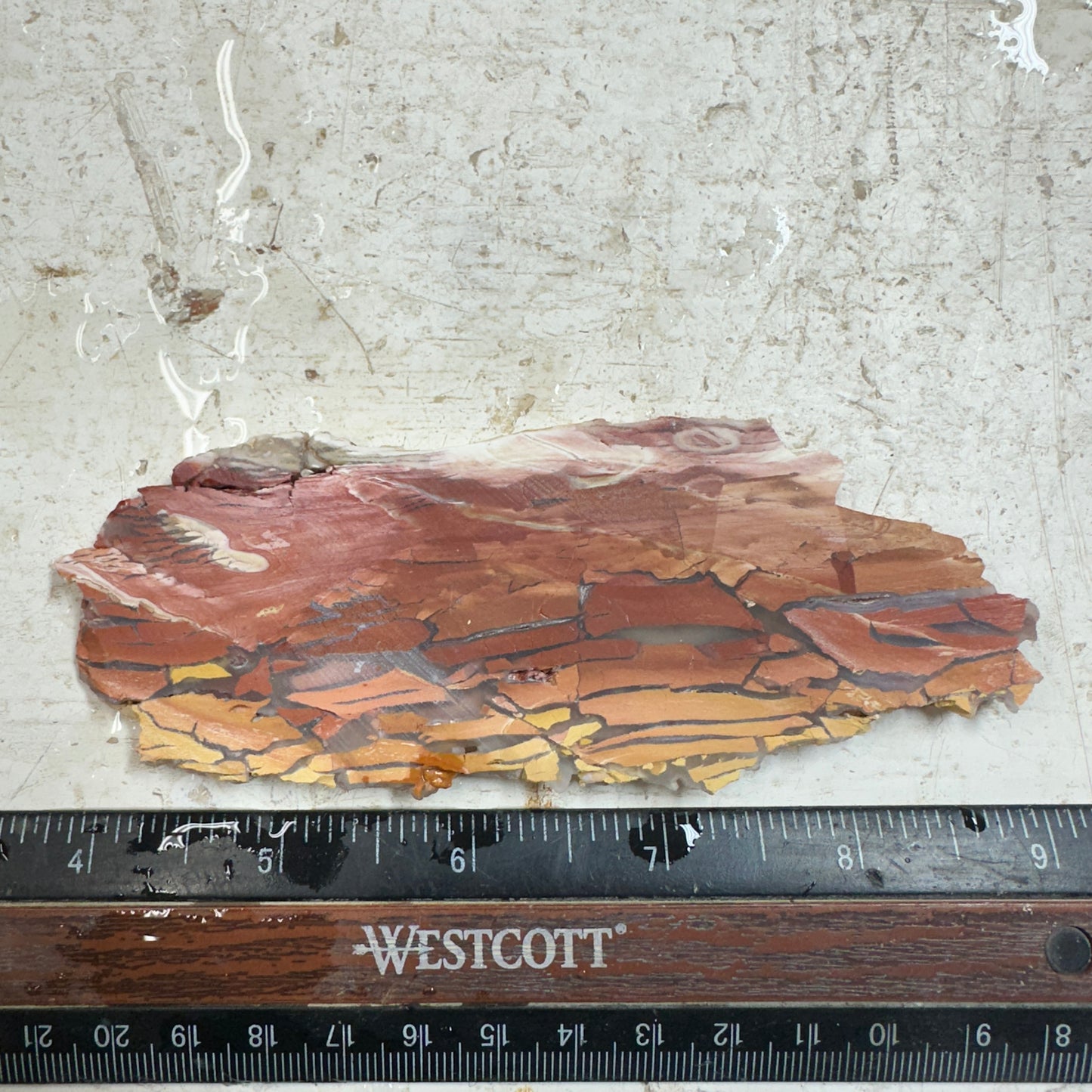 SUNSET HOWARDITE Slab - 56 grams