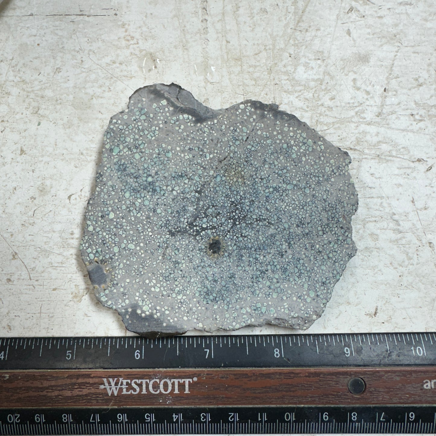 VISTA GRANDE VARISCITE Thick Slab - 158 grams