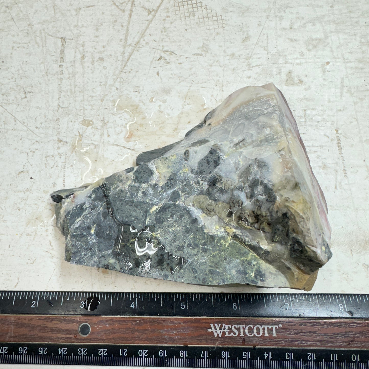 WINDY MOUNTAIN AGATE Rough - 1.51 Pounds
