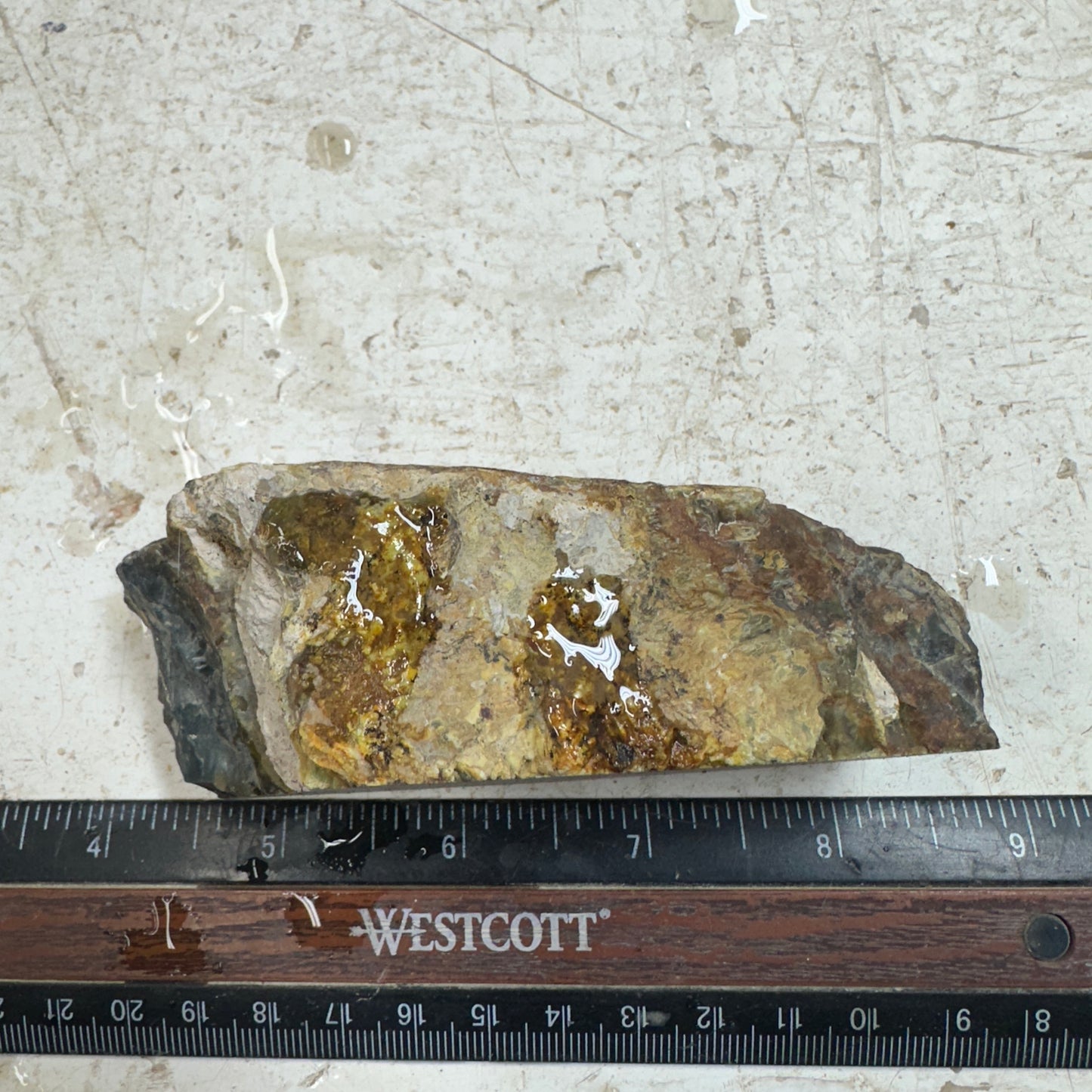MORRISONITE JASPER Faced Rough - 0.61 Pounds
