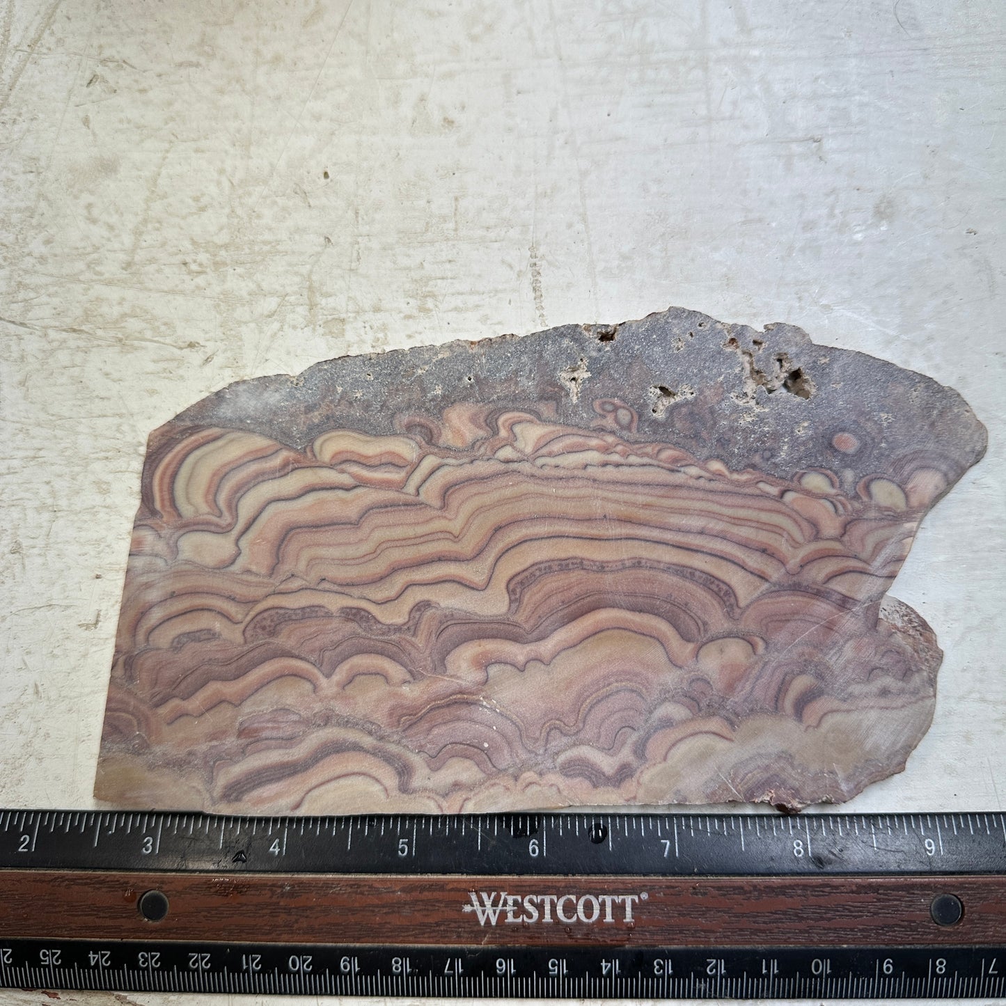 ROLLING HILLS DOLOMITE Slab - 233 grams