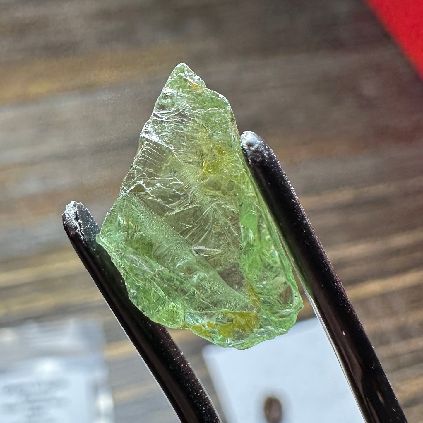 9.43ct GREEN DRAGON GARNET Facet Rough