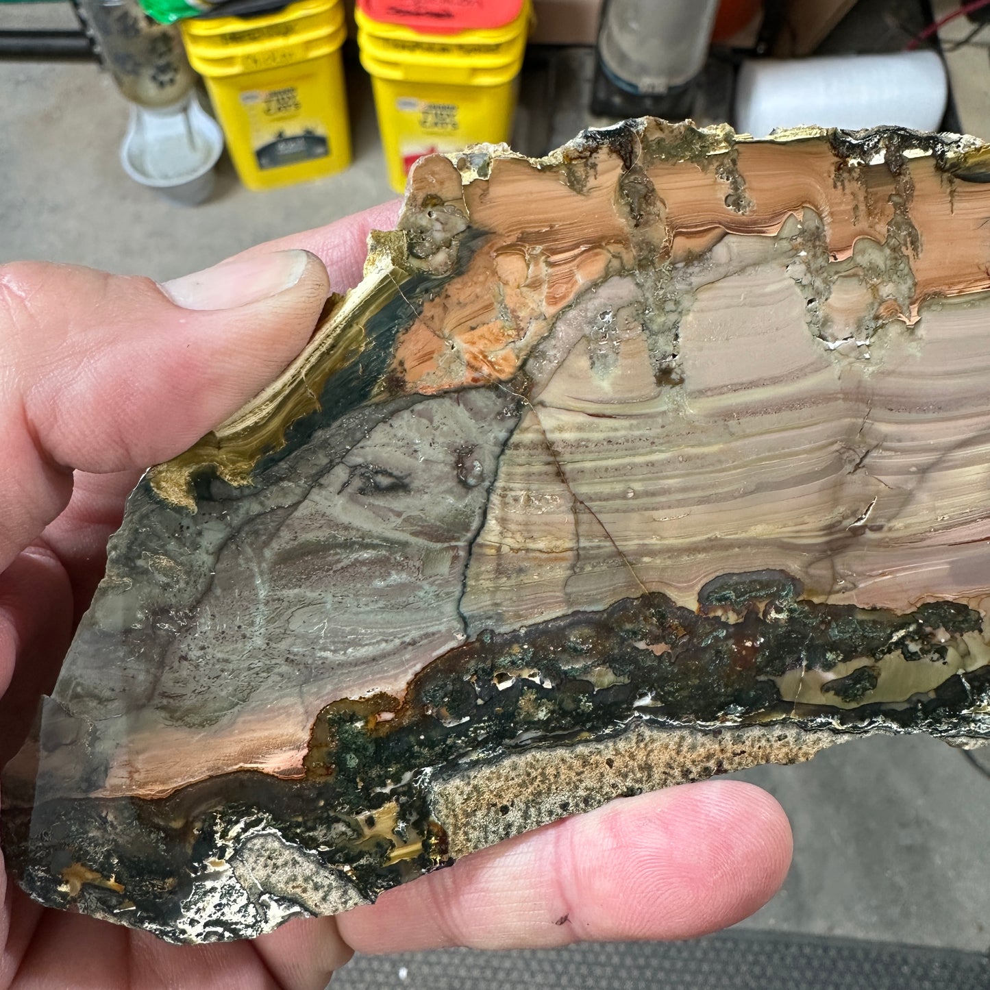 BLUE MOUNTAIN JASPER Polished Specimen Slab - 217 grams