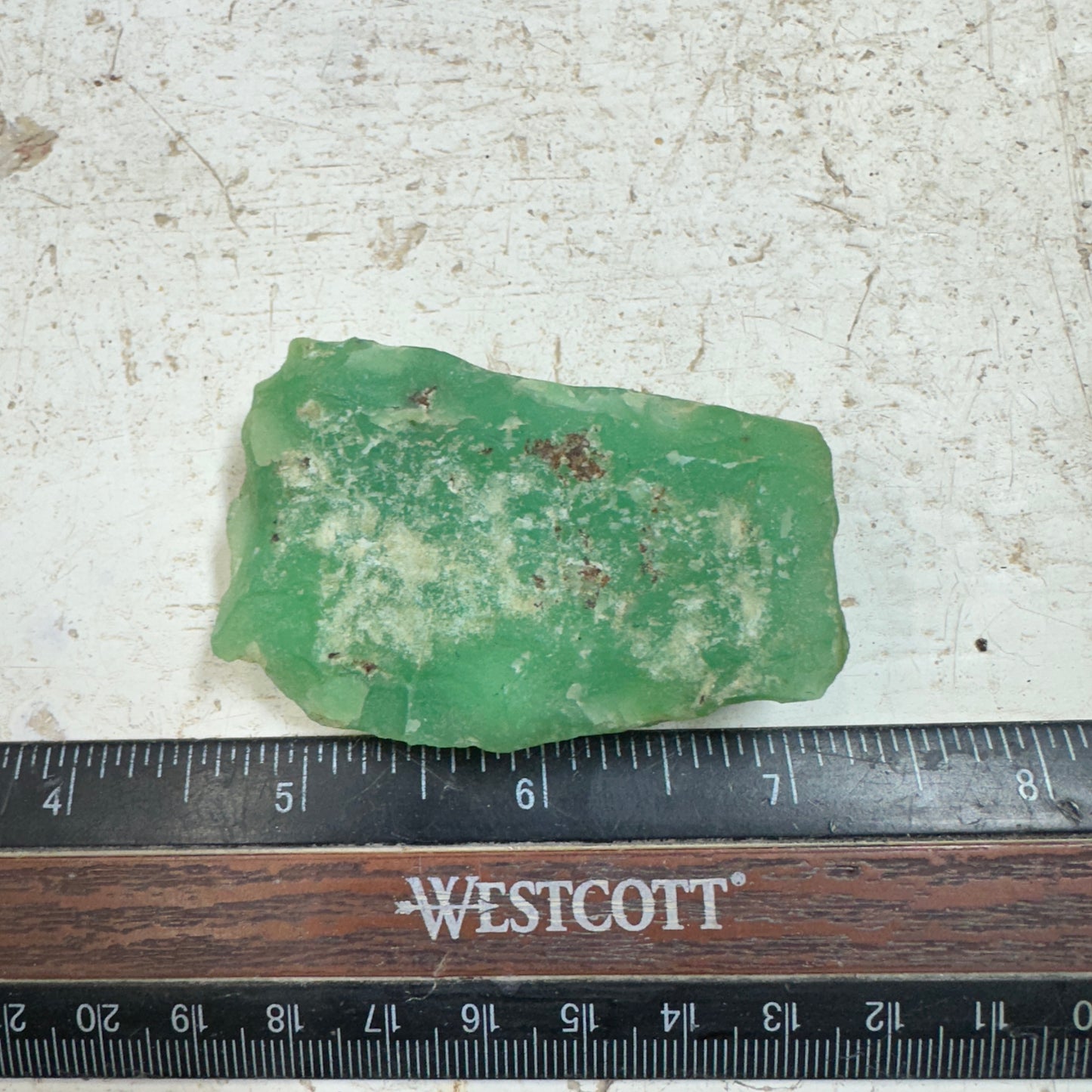 Tanzanian CHRYSOPRASE Rough 58.2 grams