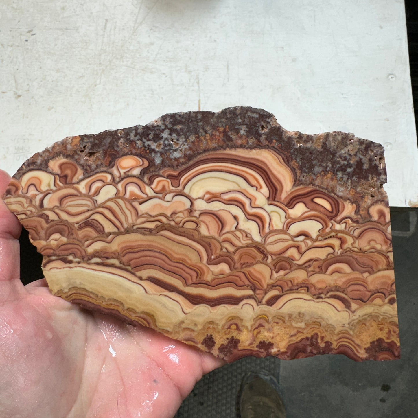 ROLLING HILLS DOLOMITE Slab - 309 grams