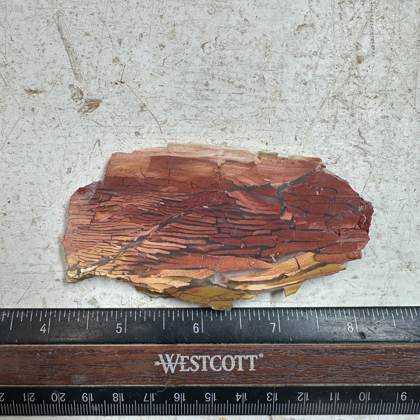 SUNSET HOWARDITE Slab - 58 grams