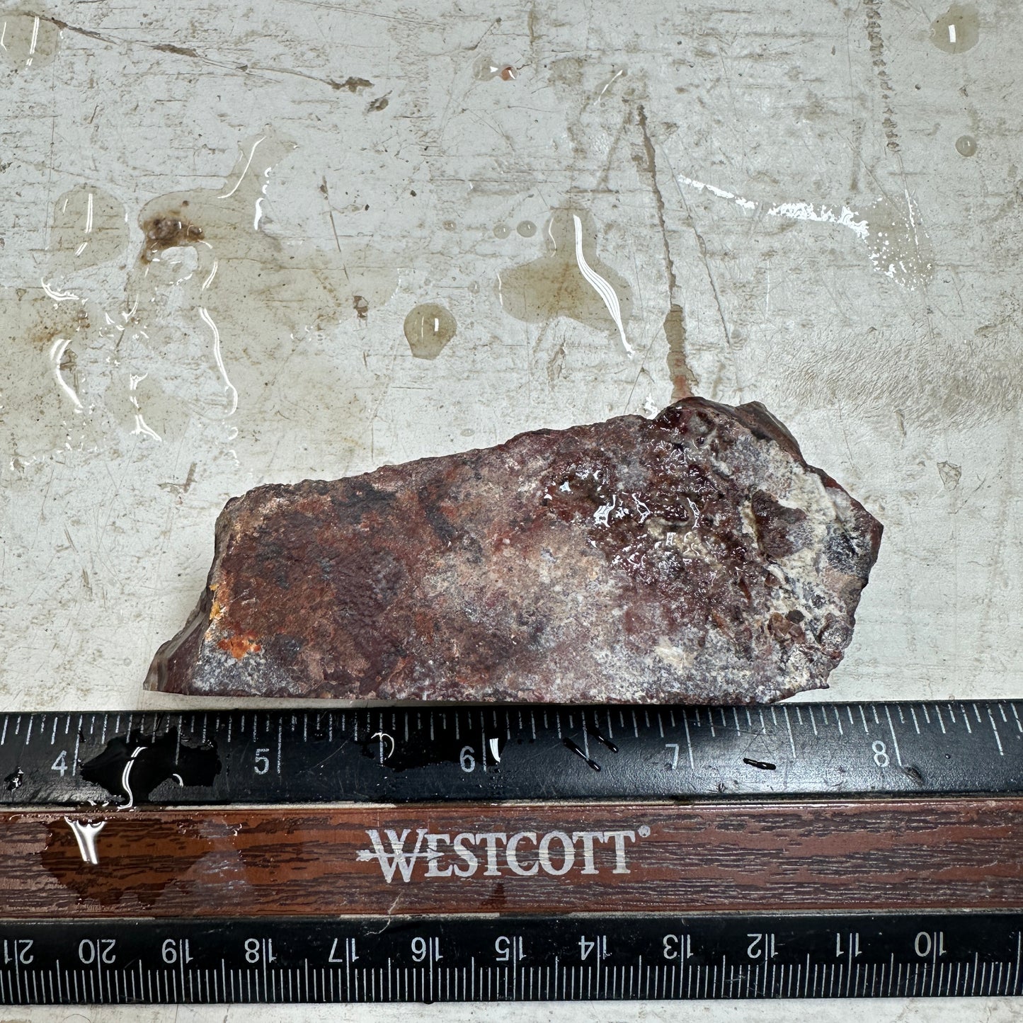 IDAHO WILDFIRE PLUME AGATE Faced Rough - 3.68oz