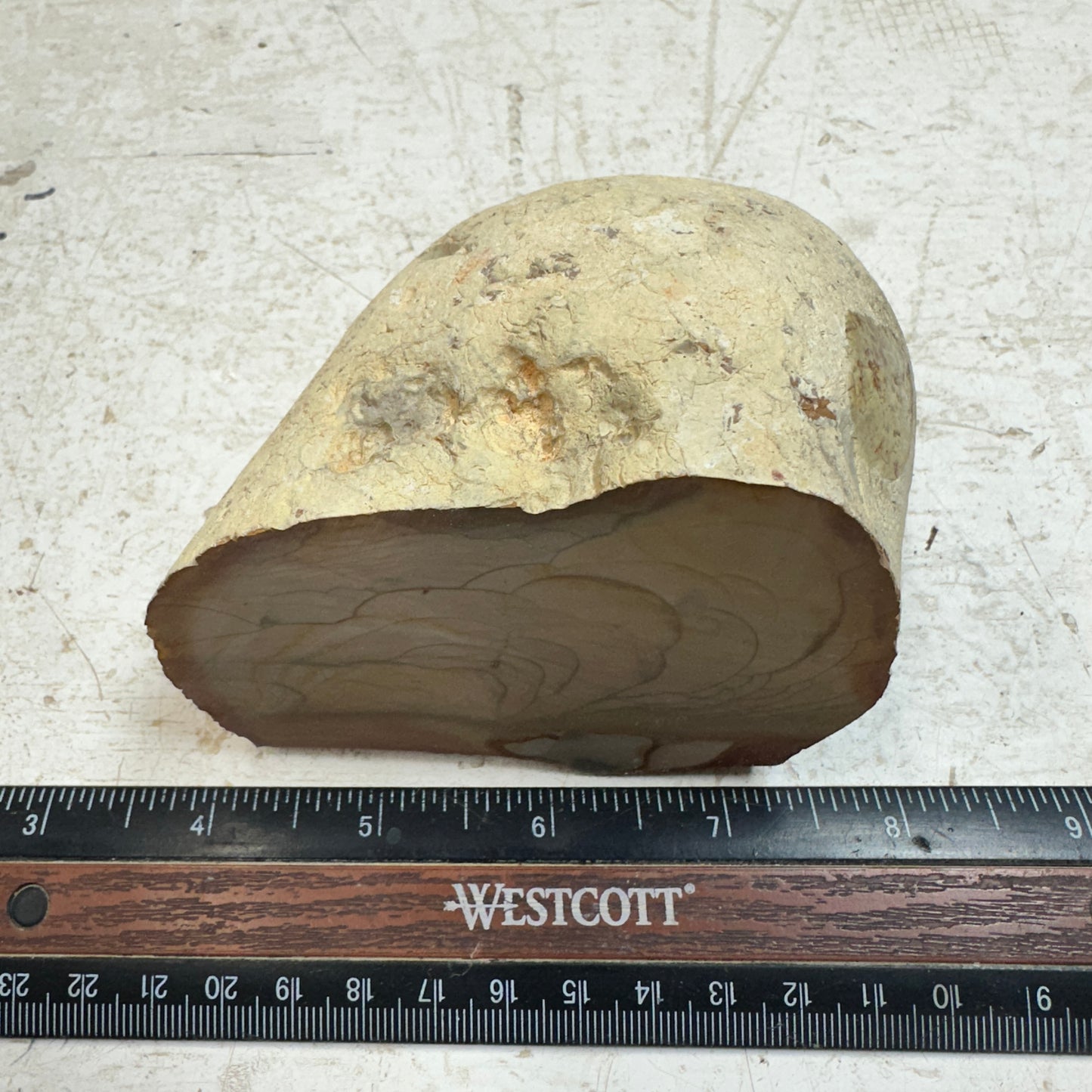 MISTY MOUNTAIN JASPER Faced Rough - 1.54 Pounds