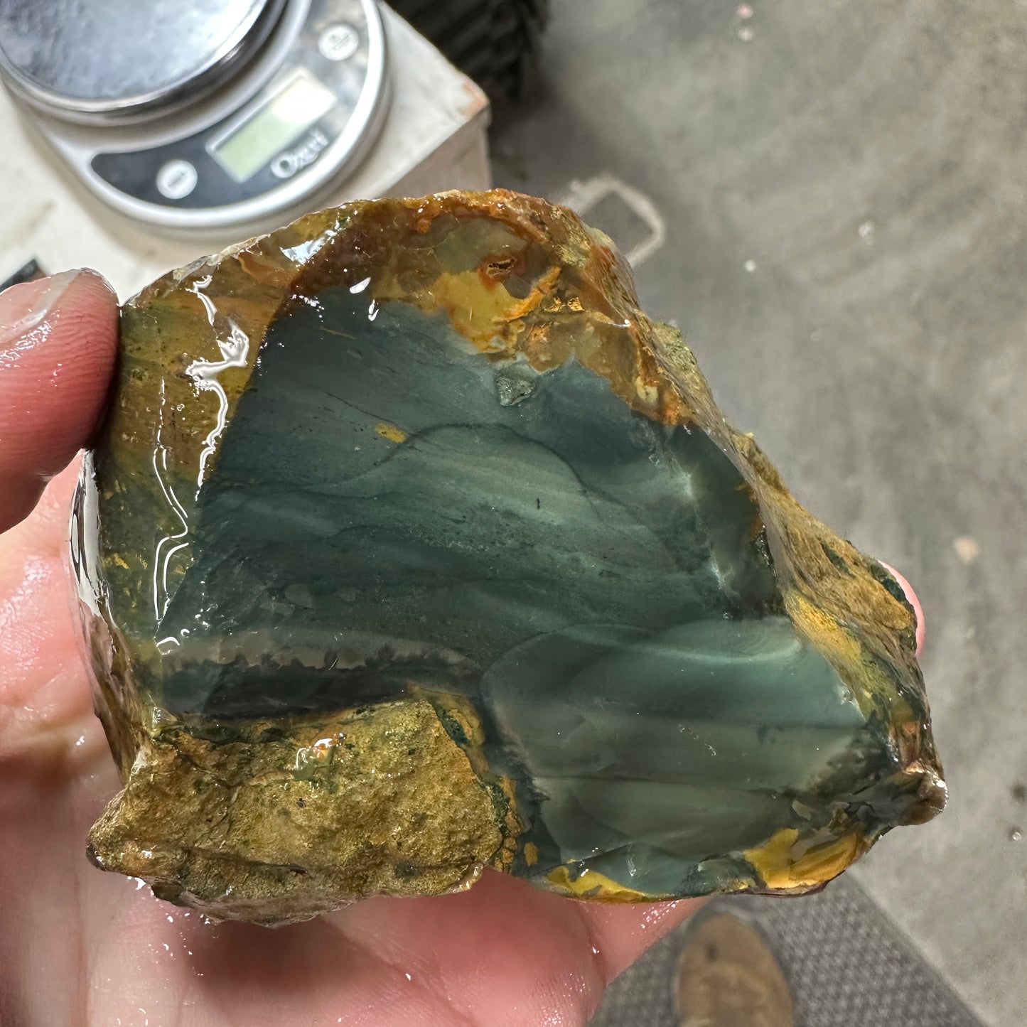 BLUE MOUNTAIN JASPER Rough - 0.99 Pounds