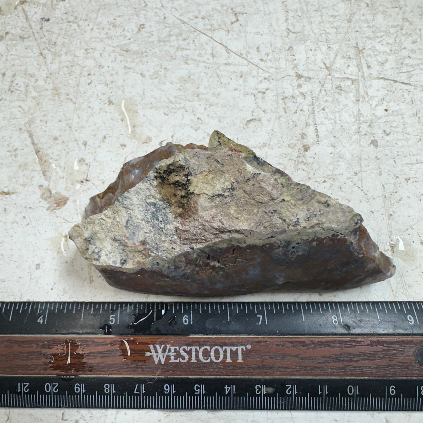 WINGATE PASS PLUME AGATE Windowed Rough - 0.48 Pounds