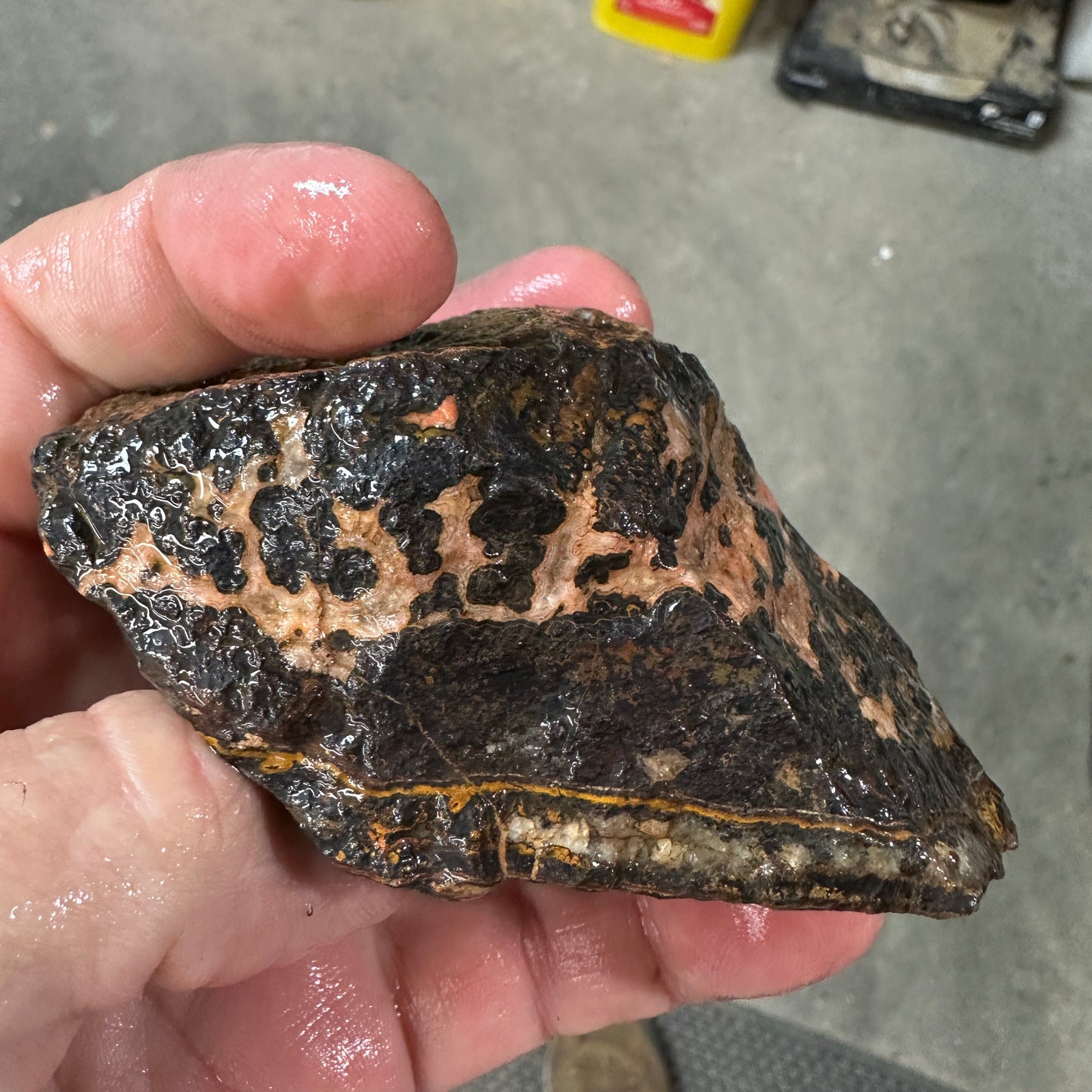 MOROCCAN SEAM AGATE Faced Rough - 0.94 Pounds