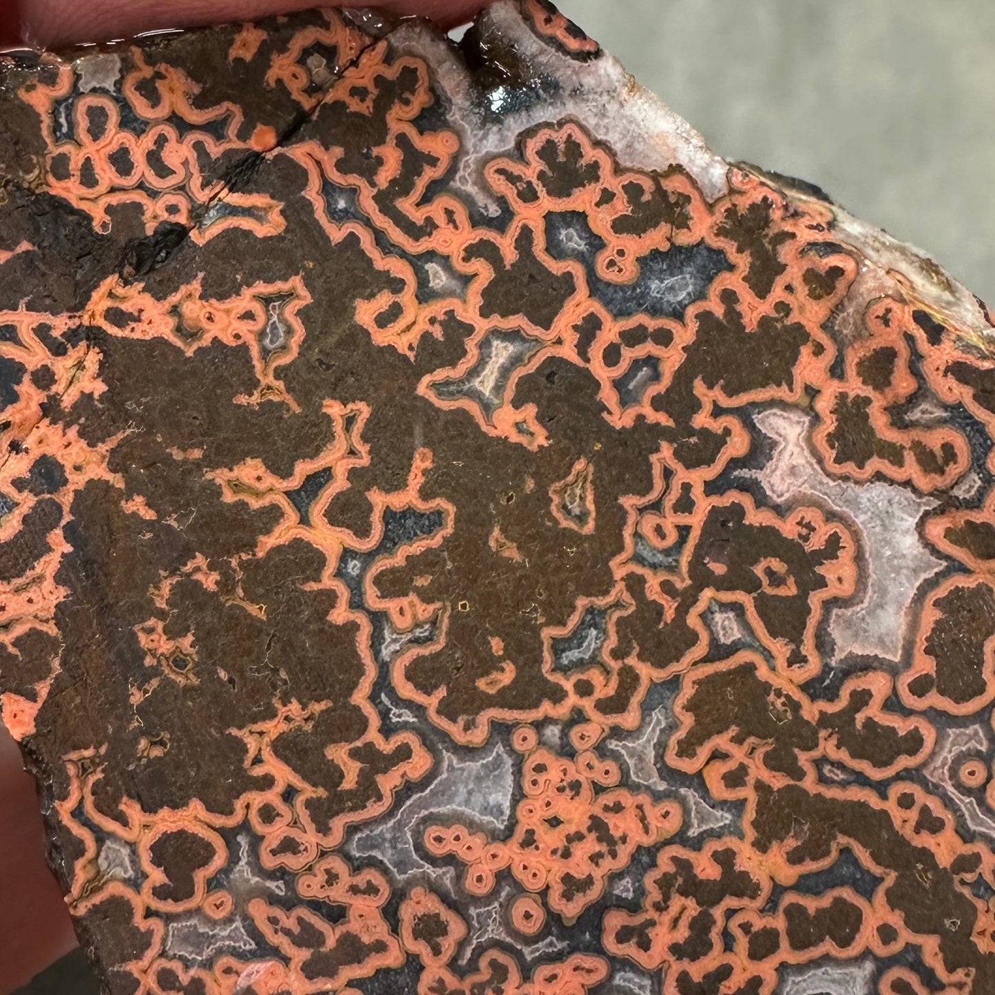 MOROCCAN SEAM AGATE Faced Rough - 0.67 Pounds