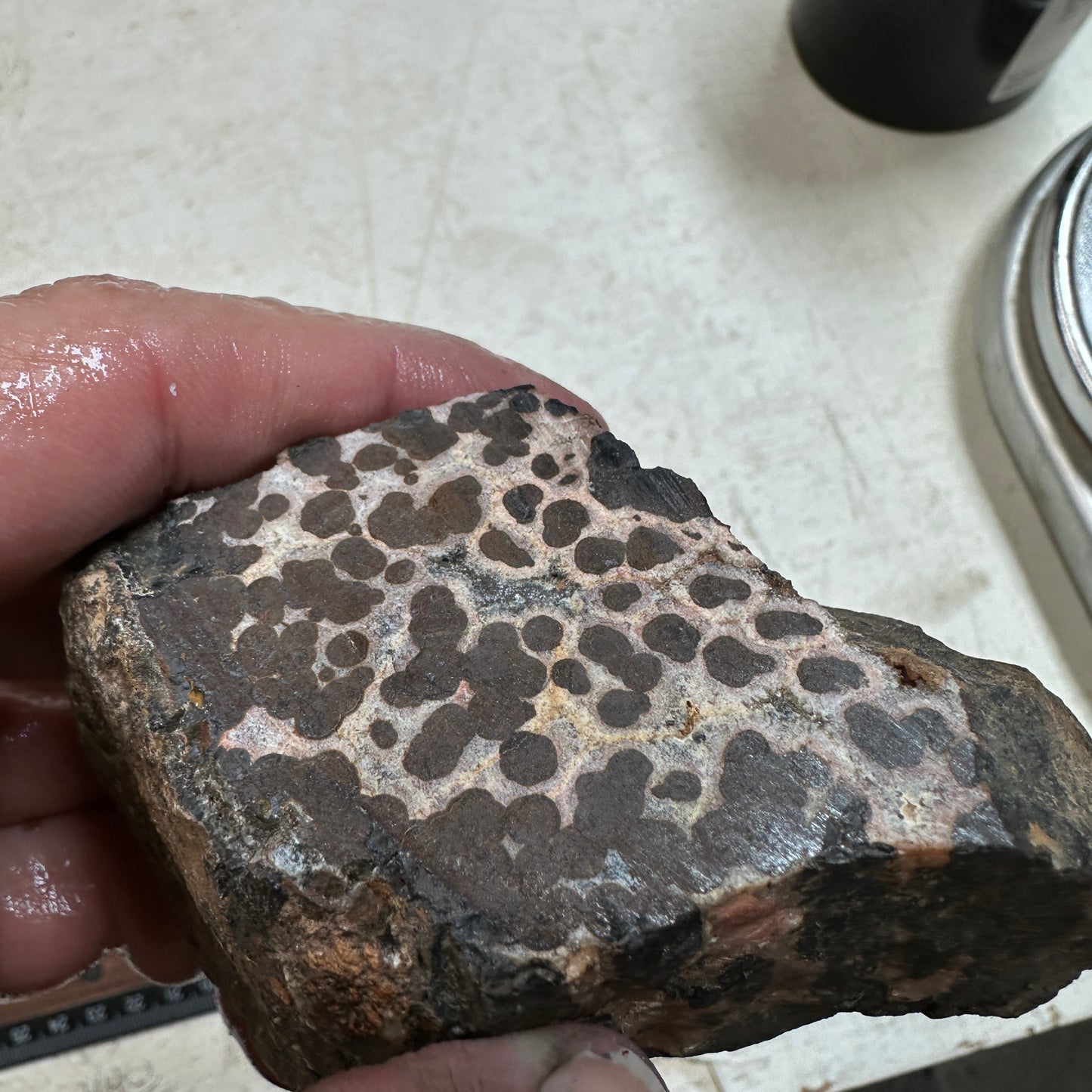 MOROCCAN SEAM AGATE Faced Rough - 0.94 Pounds