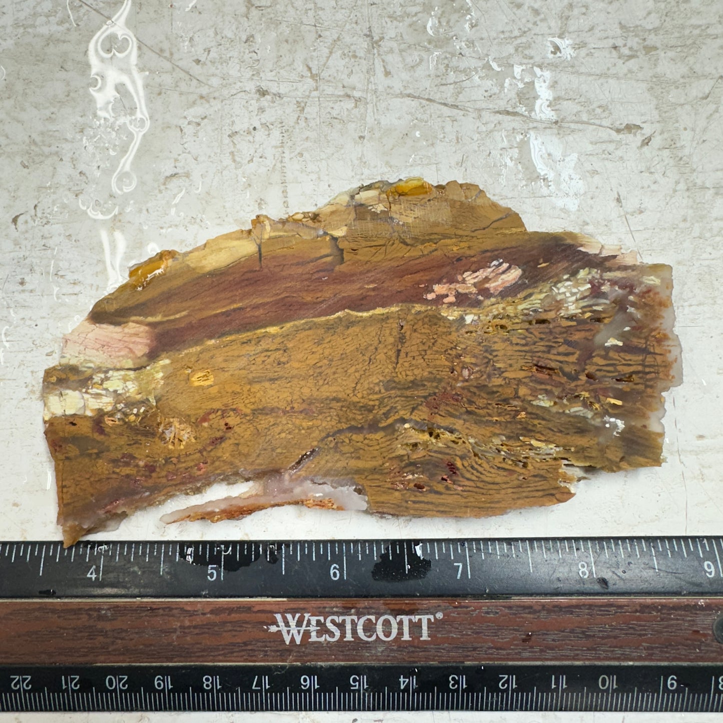 HOWARDITE Slab - 102 grams