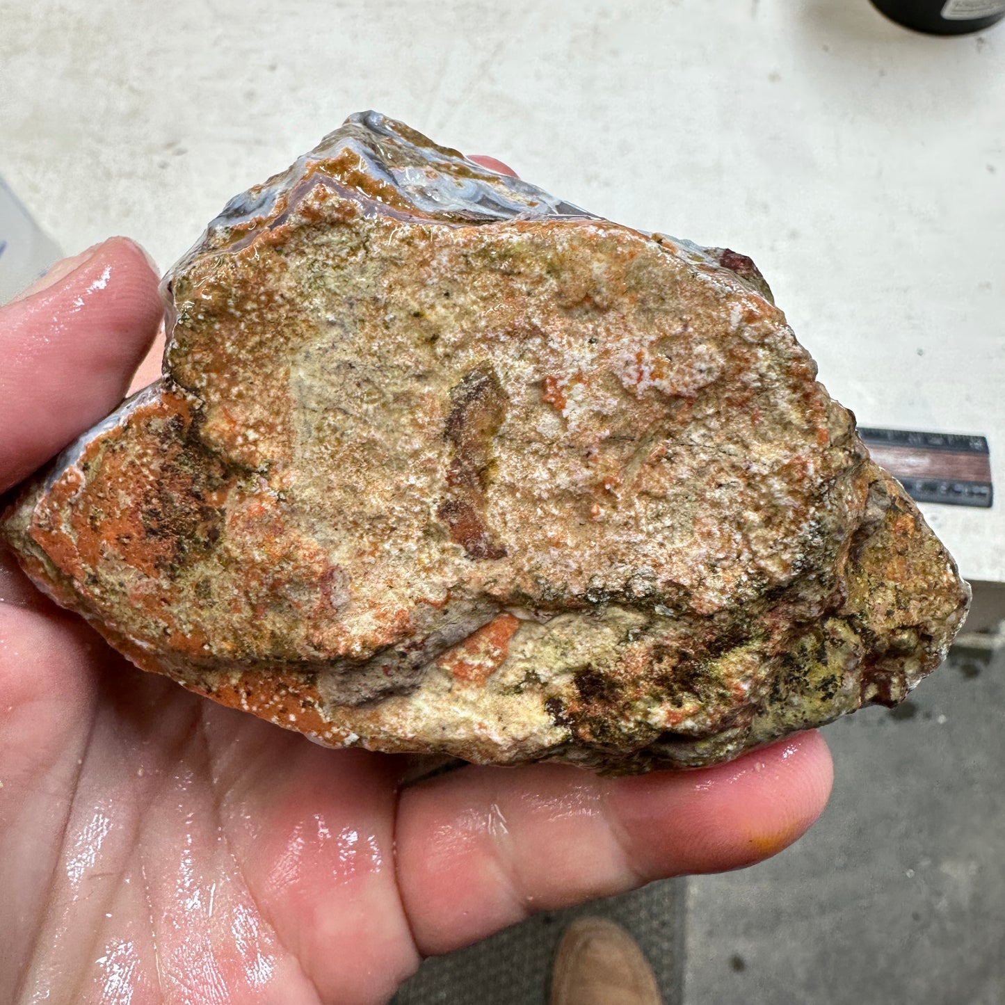 PURPLE PASSION Rough - 1.26 Pounds