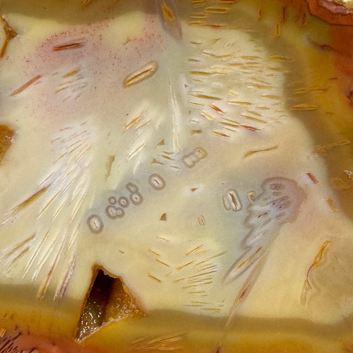 TUBE AGATE Faced Rough - 2.66 Pounds
