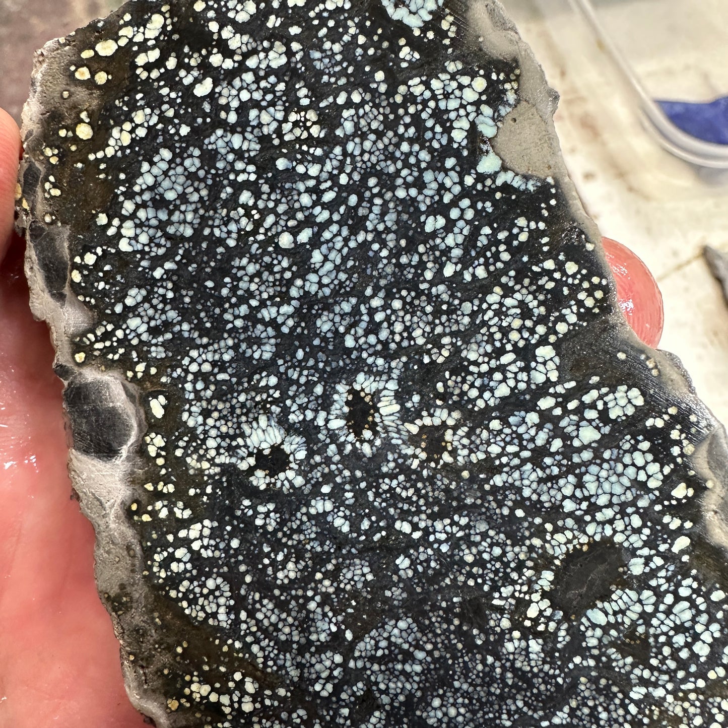 VISTA GRANDE VARISCITE Thick Slab - 198 grams