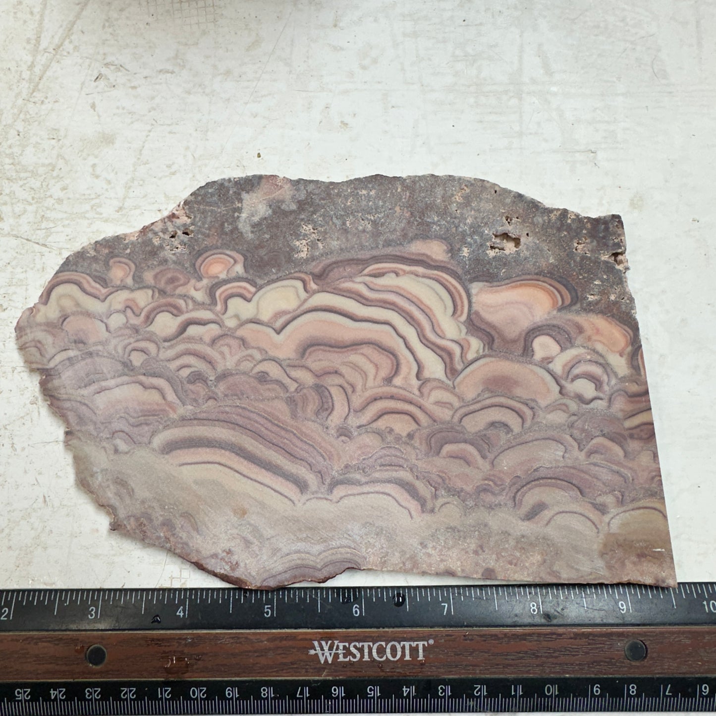 ROLLING HILLS DOLOMITE Slab - 313 grams