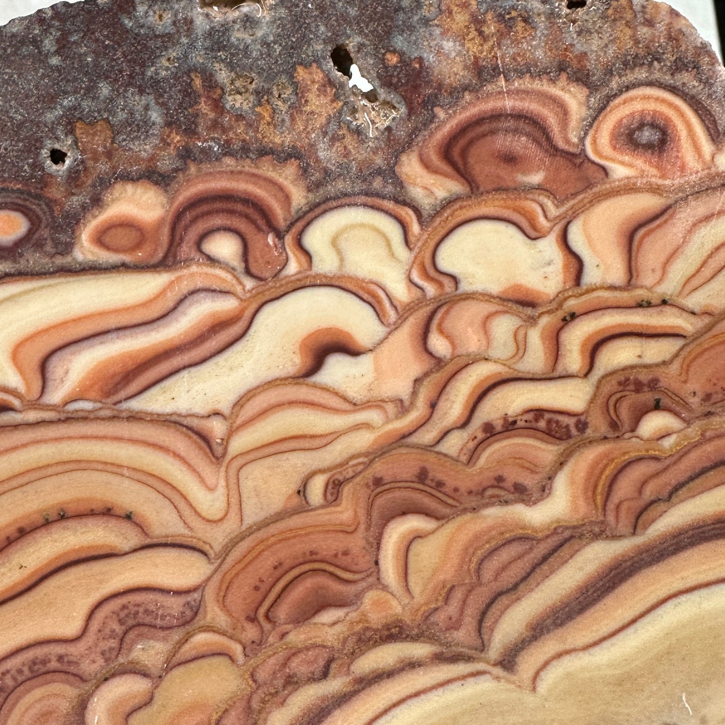 ROLLING HILLS DOLOMITE Slab - 200 grams