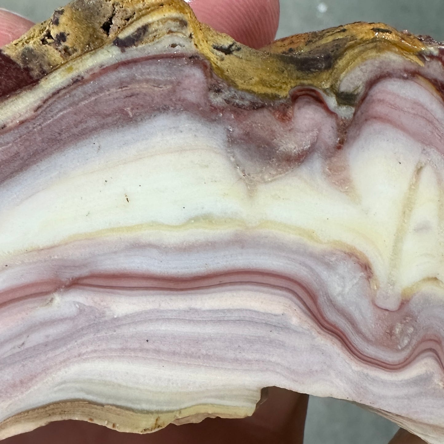 WINDY MOUNTAIN AGATE Faced Rough - 1.01 Pounds