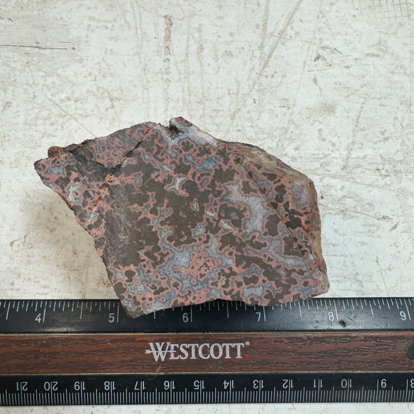 MOROCCAN SEAM AGATE Faced Rough - 0.67 Pounds