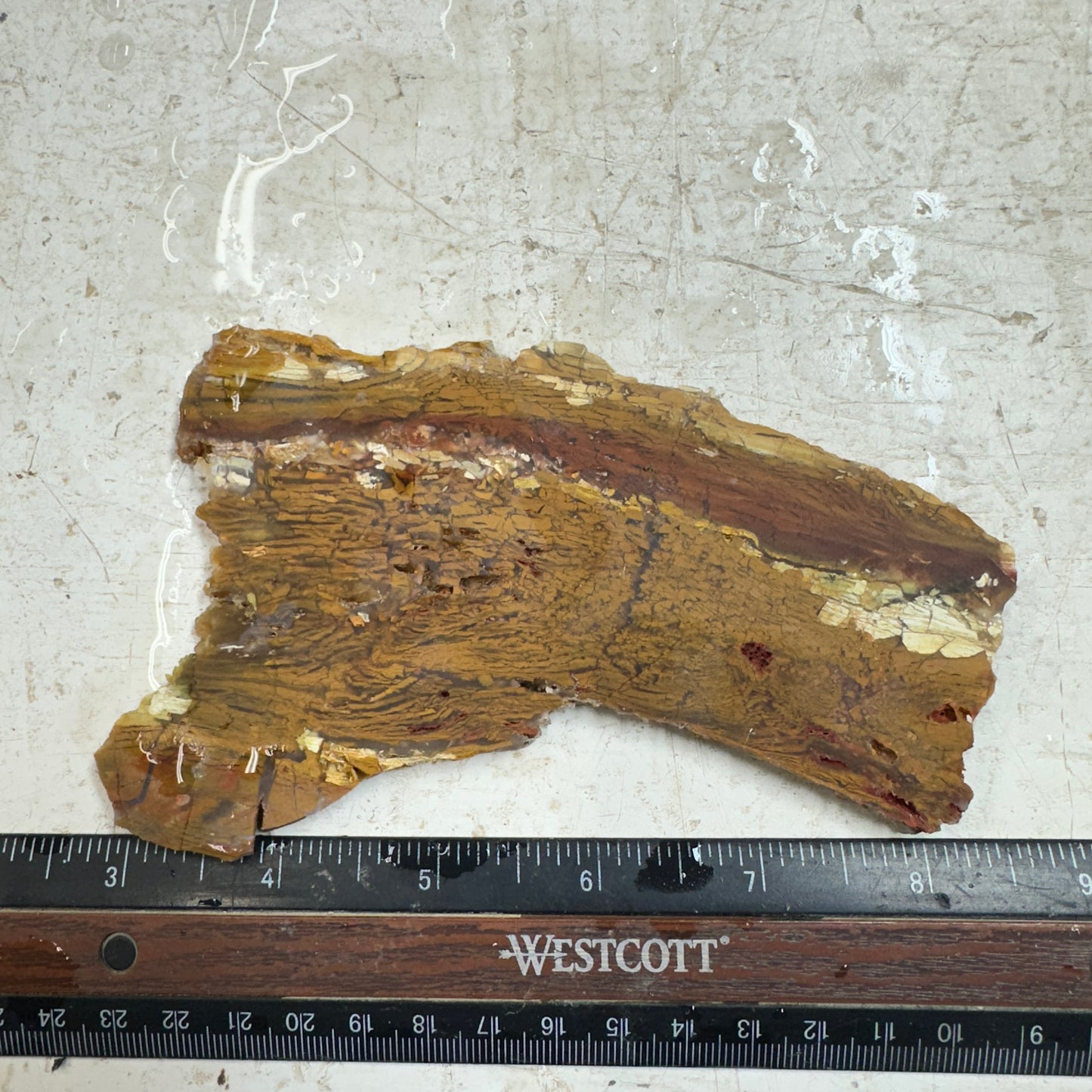 HOWARDITE Slab - 123 grams
