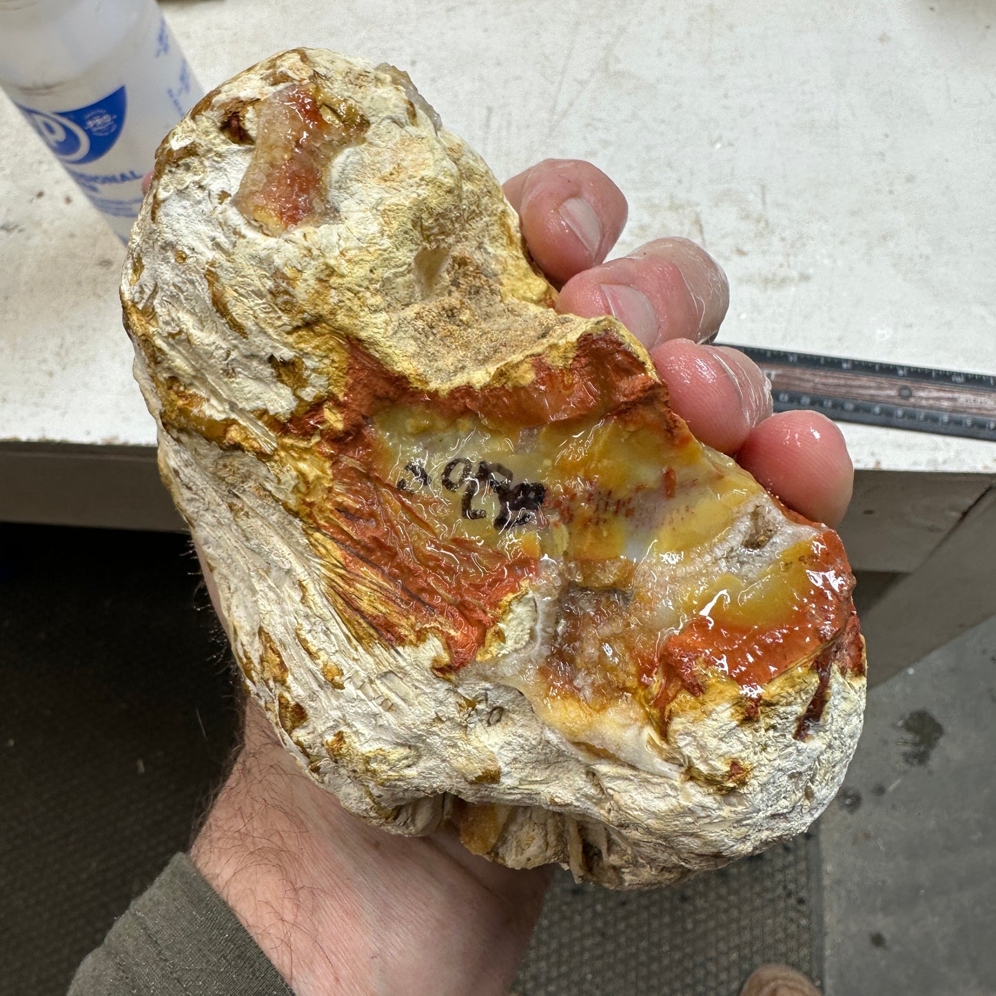 TUBE AGATE Faced Rough - 2.66 Pounds