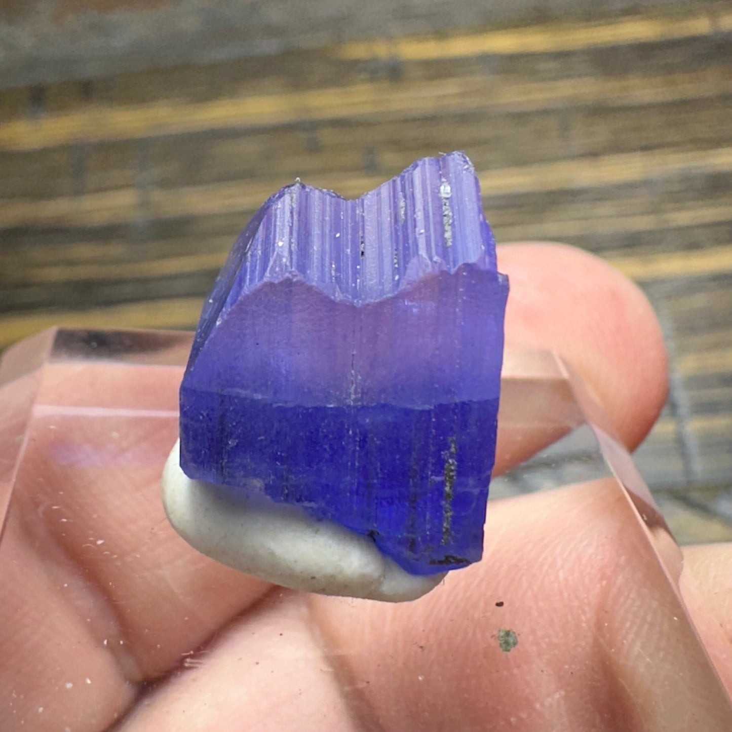 TANZANITE Crystal Display Mineral Specimen
