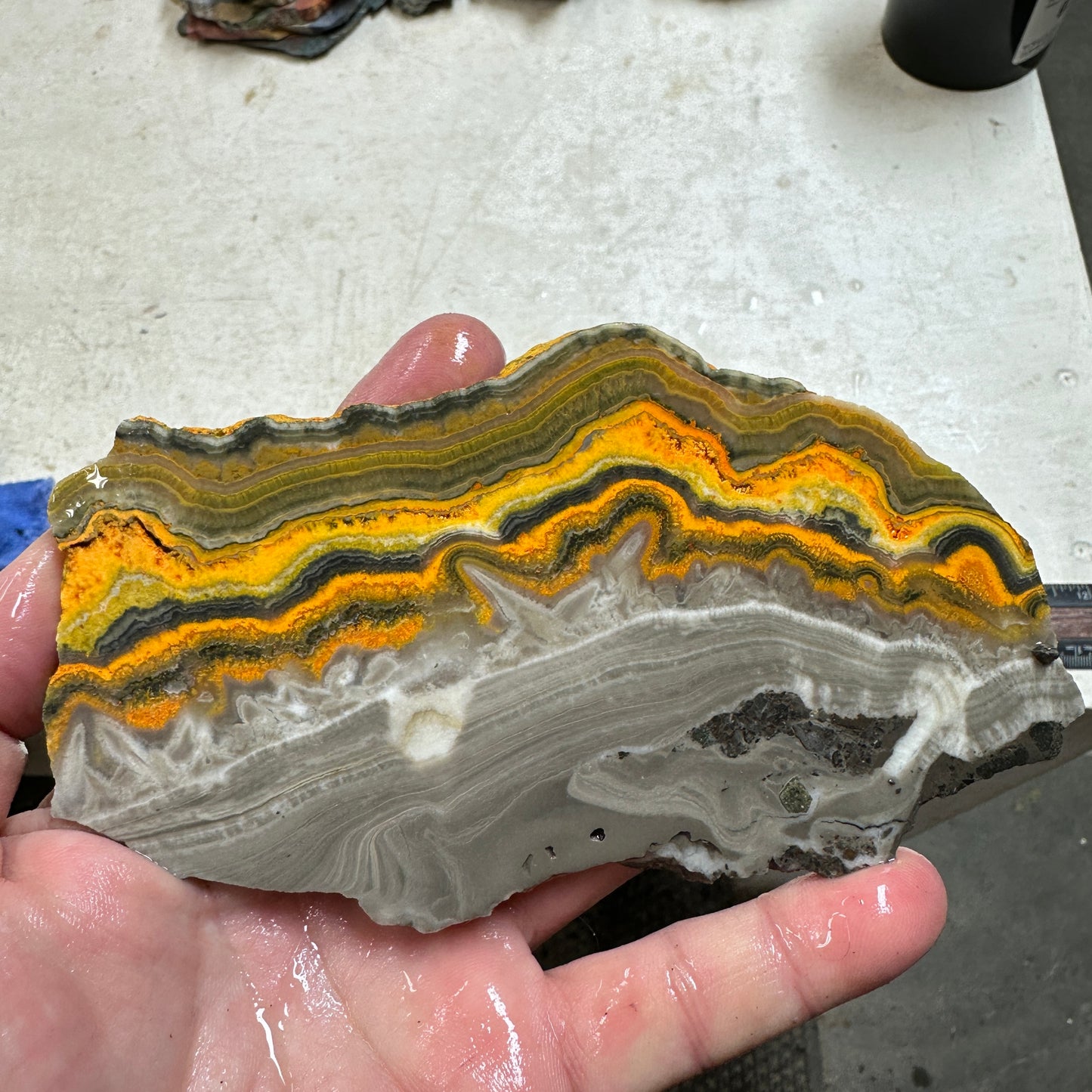 BUMBLEBEE ONYX Slab - 171 grams