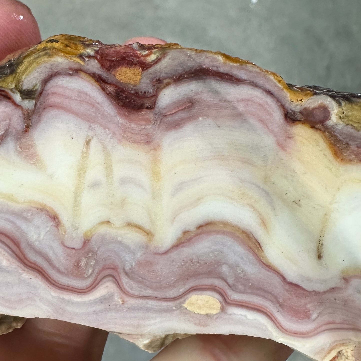 WINDY MOUNTAIN AGATE Faced Rough - 1.01 Pounds