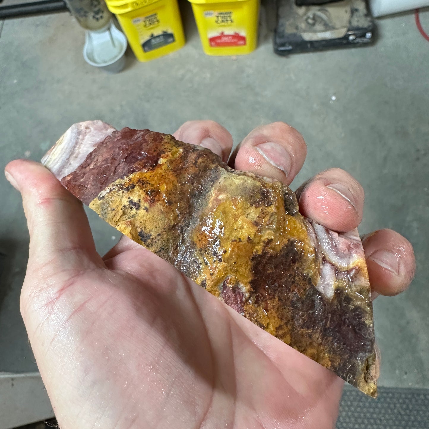 WINDY MOUNTAIN AGATE Faced Rough - 1.01 Pounds
