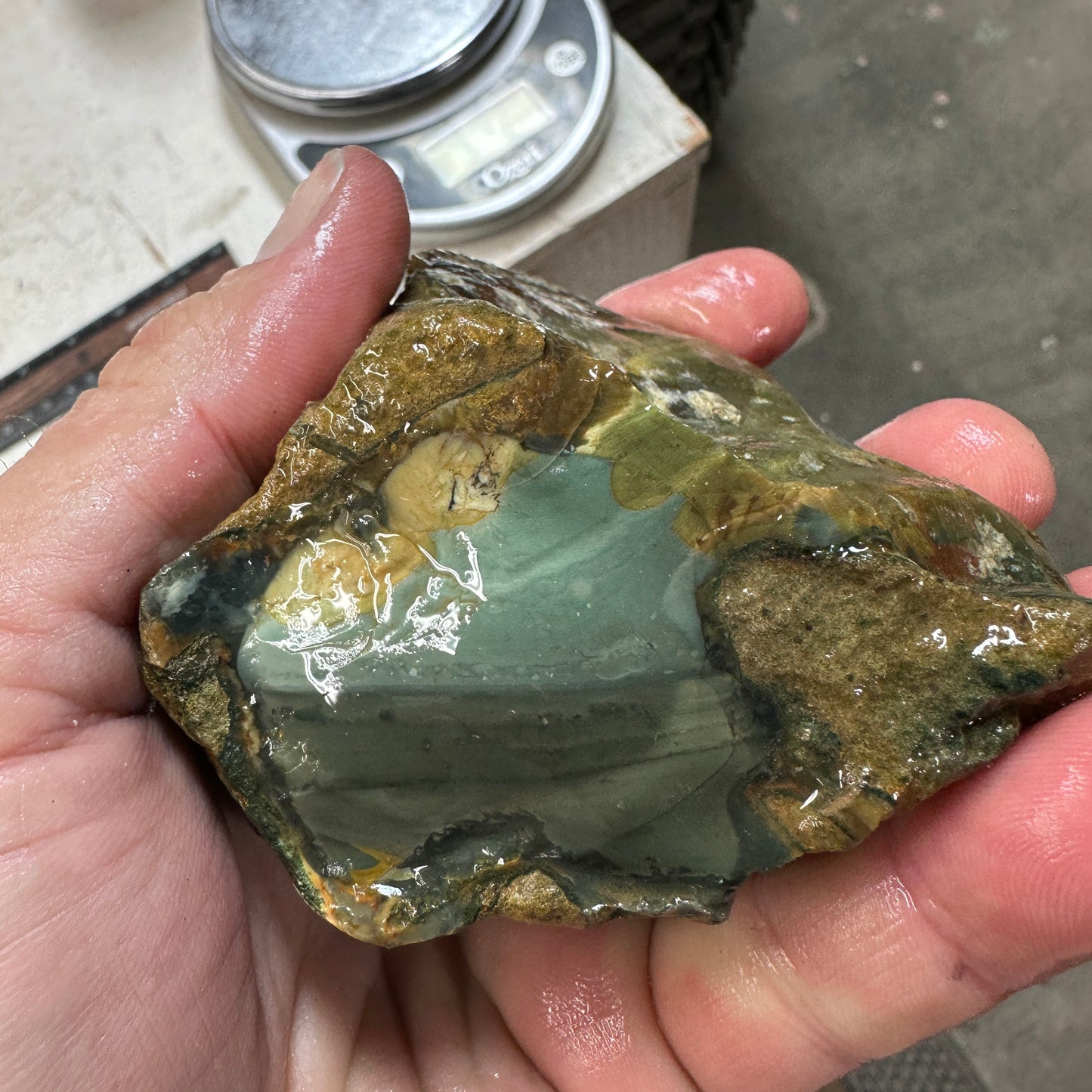 BLUE MOUNTAIN JASPER Rough - 0.99 Pounds