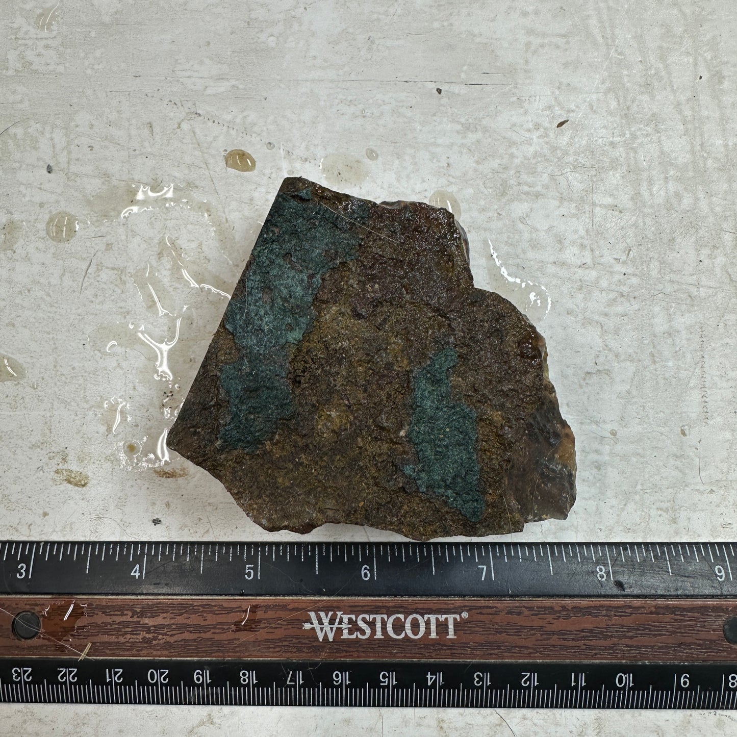 MOROCCAN SEAM AGATE Rough - 9.7ozs