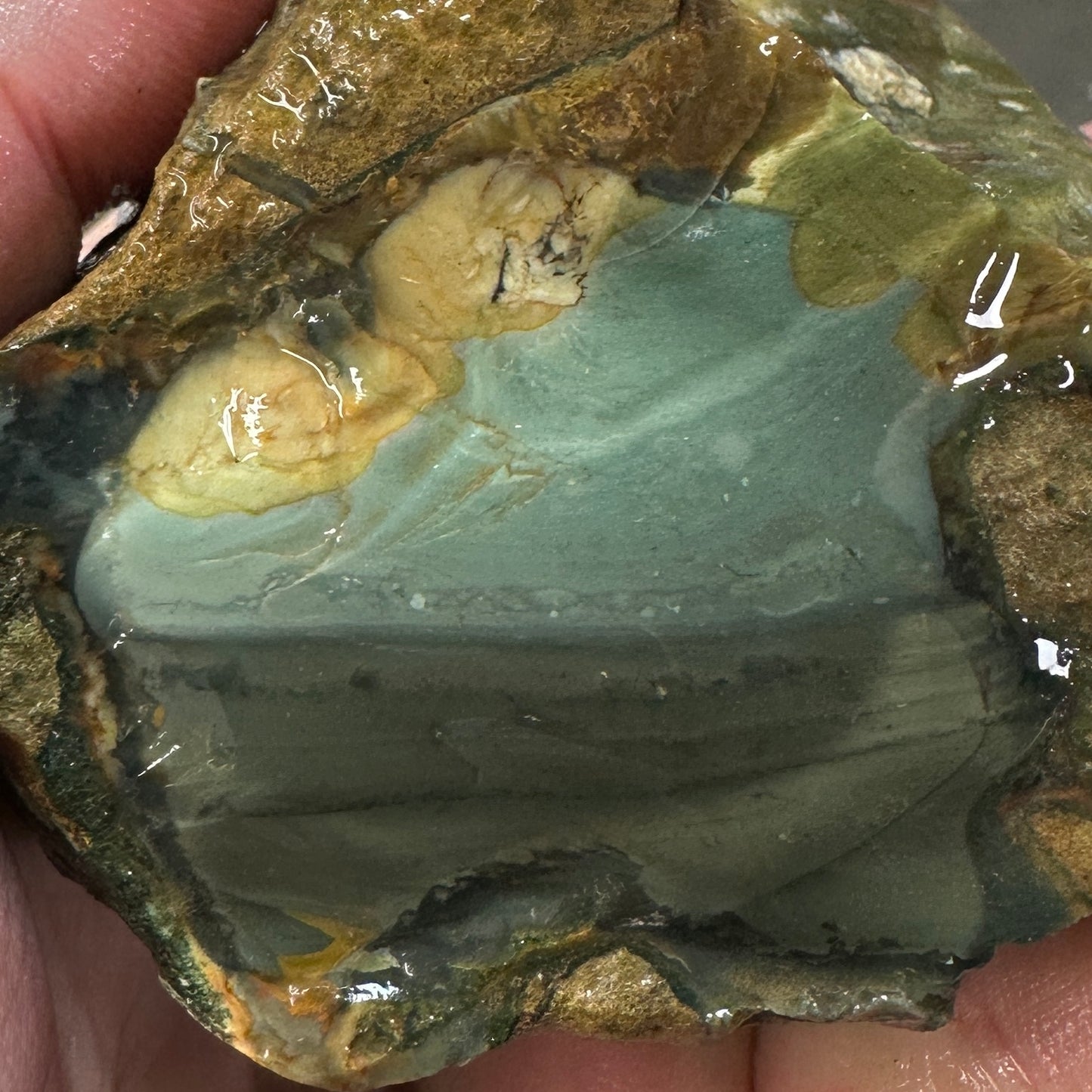 BLUE MOUNTAIN JASPER Rough - 0.99 Pounds