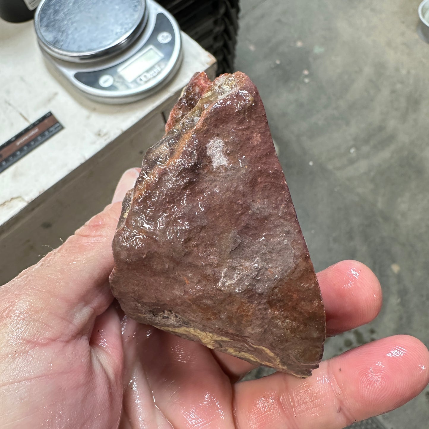 DRYHEAD AGATE Faced Rough - 0.73 Pounds