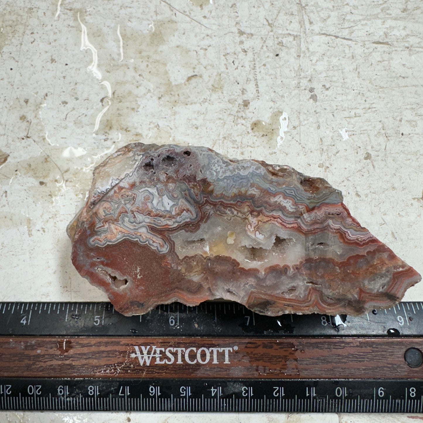 CRAZY LACE AGATE Faced Rough - 0.52 pounds