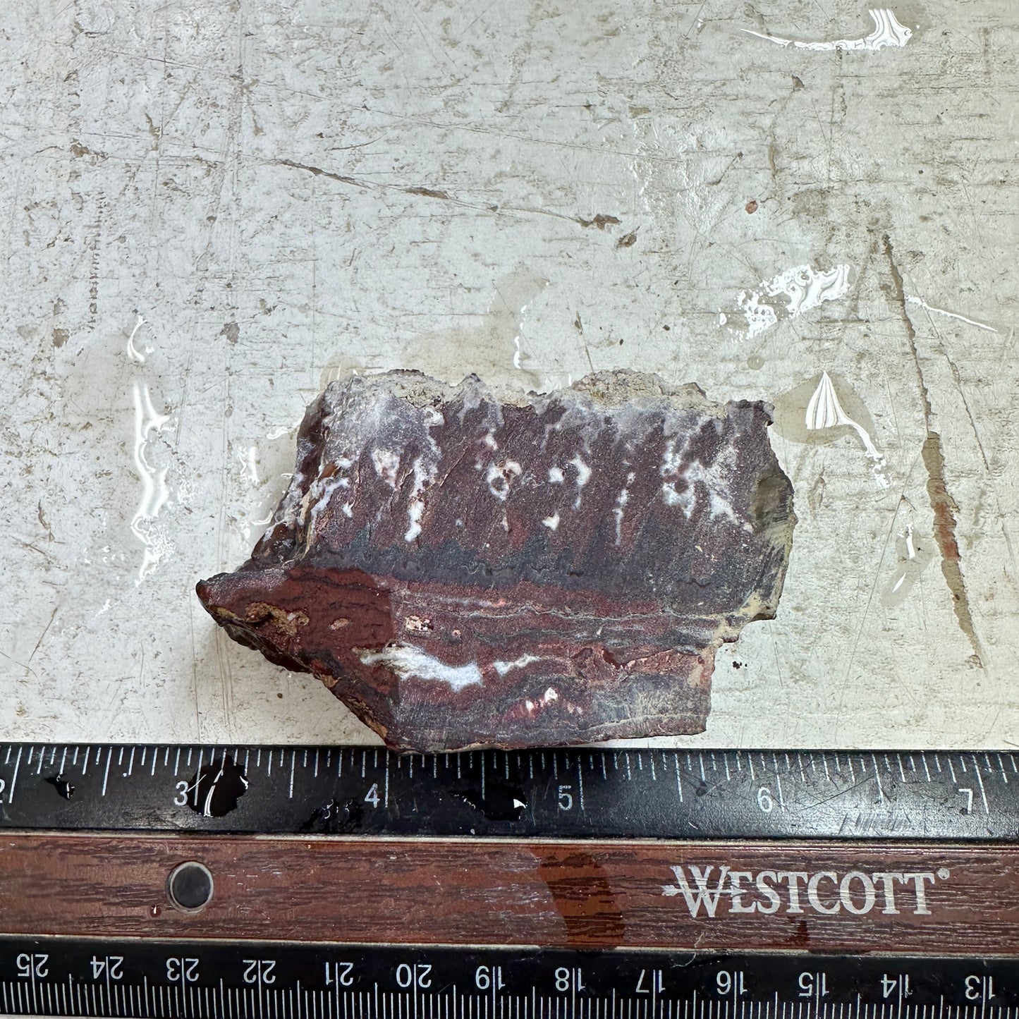 IDAHO WILDFIRE PLUME AGATE Faced Rough - 4.34oz