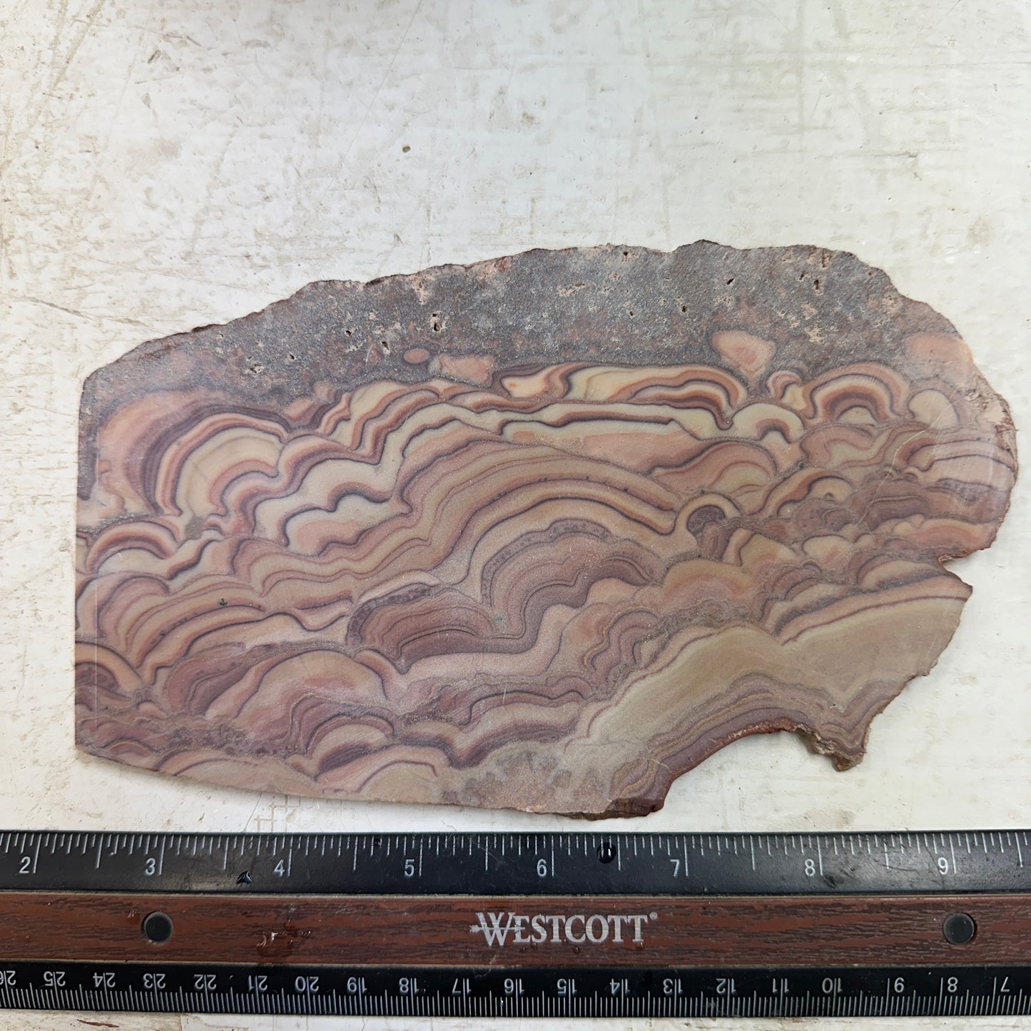 ROLLING HILLS DOLOMITE Slab - 276 grams