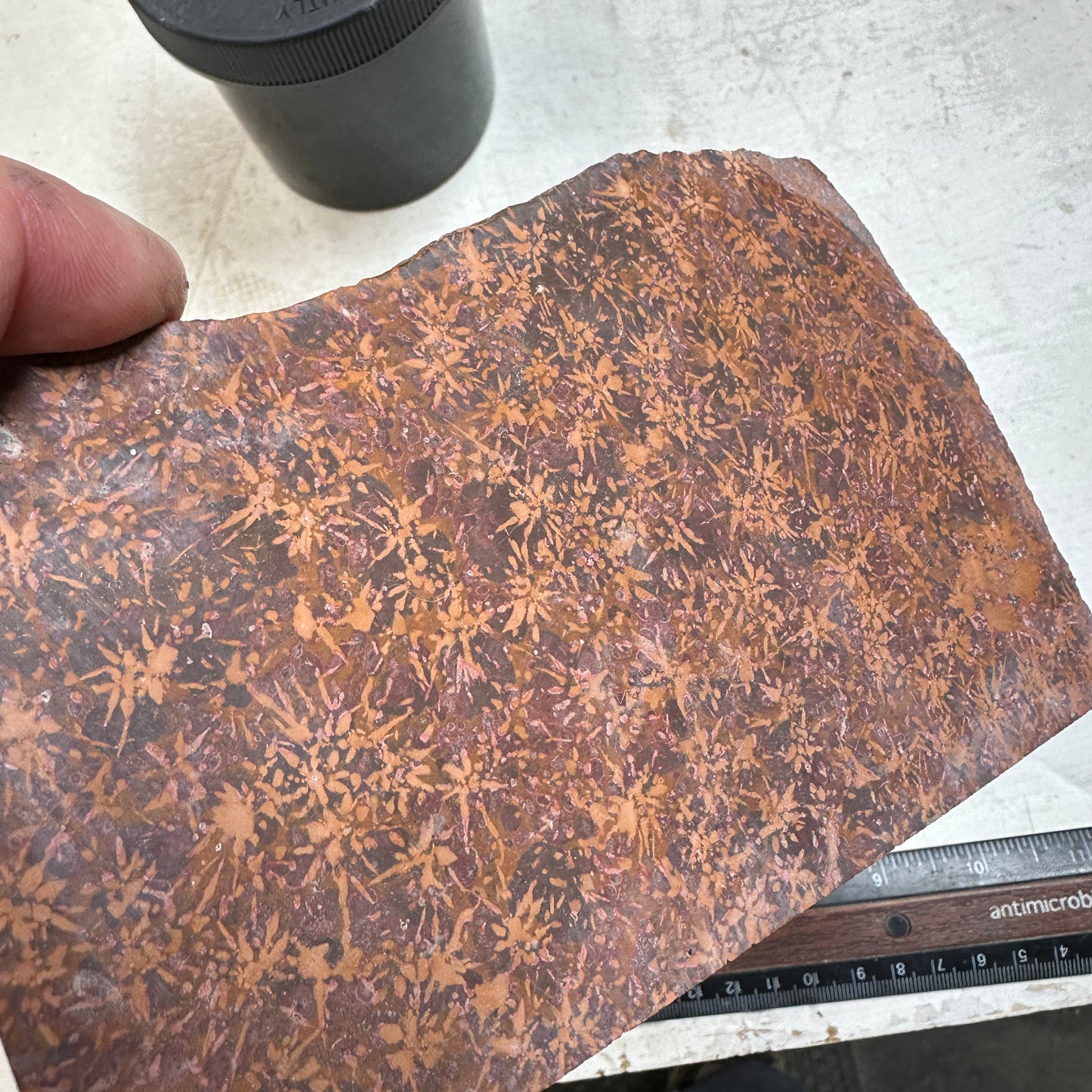 STARBURST RHYOLITE Slab - 254 grams