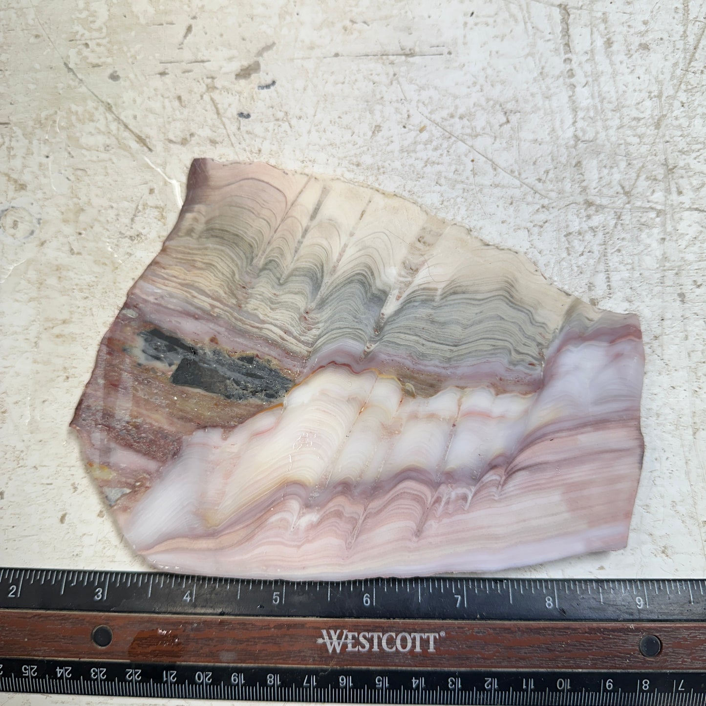 WINDY MOUNTAIN AGATE Slab - 250 grams