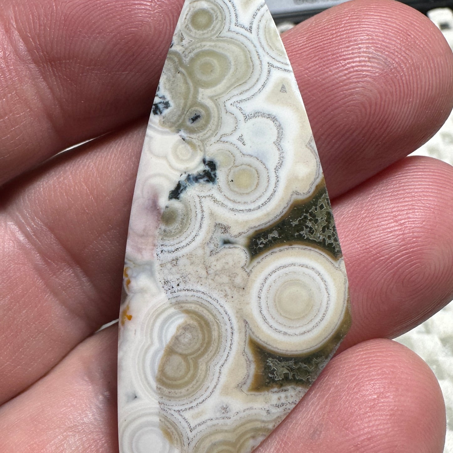 OCEAN JASPER cabochon