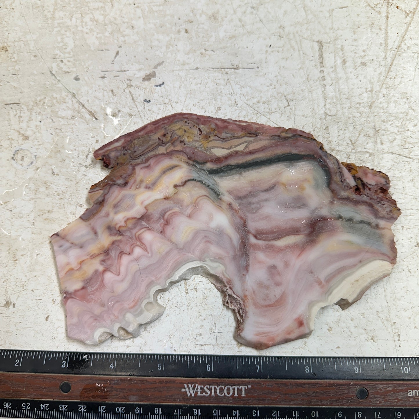 WINDY MOUNTAIN AGATE Slab - 263 grams