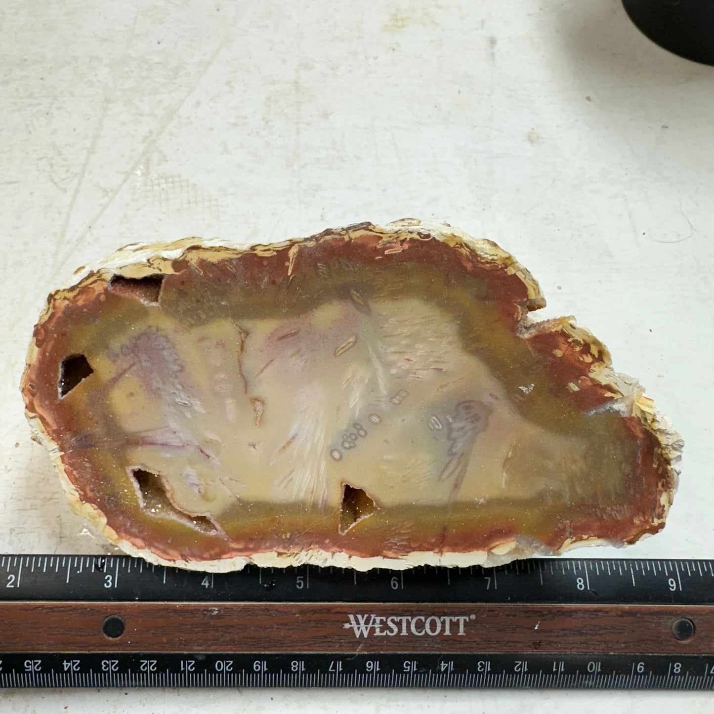 TUBE AGATE Faced Rough - 2.66 Pounds