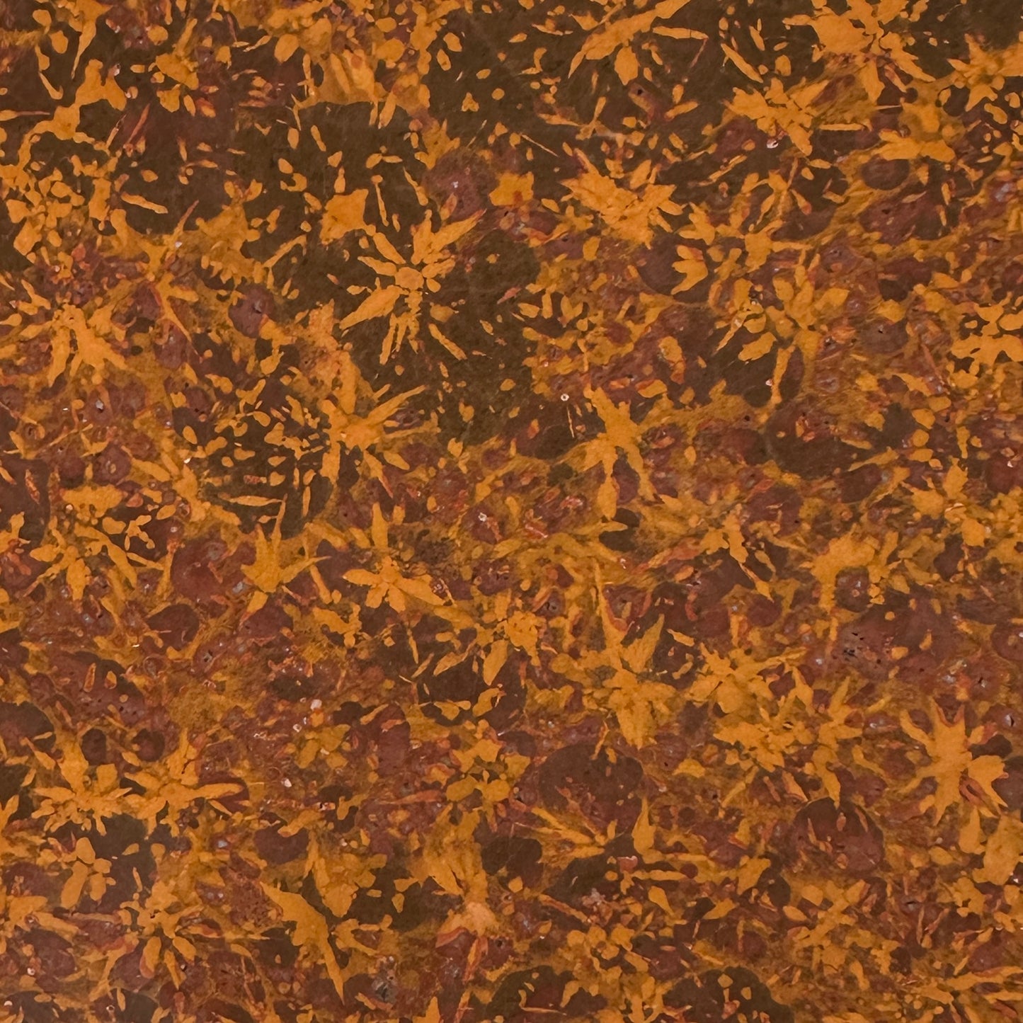STARBURST RHYOLITE Slab - 260 grams
