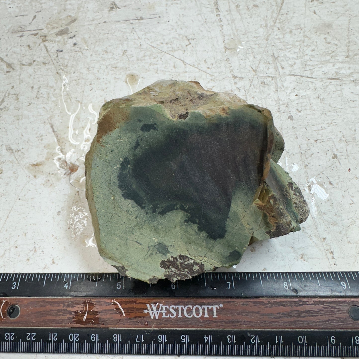 ECHO RIDGE JASPER Rough - 1.09 Pounds