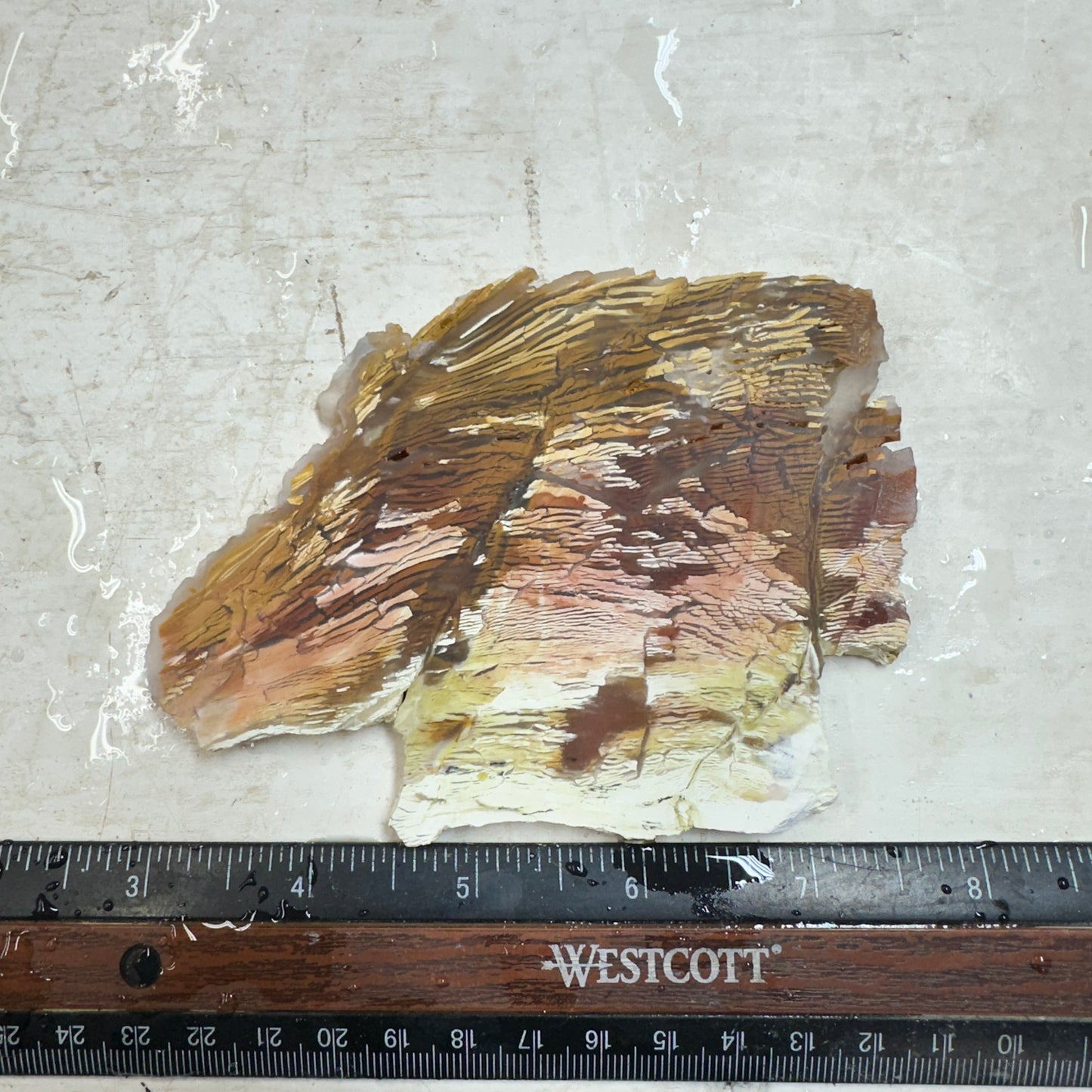 SUNSET HOWARDITE Slab - 106 grams