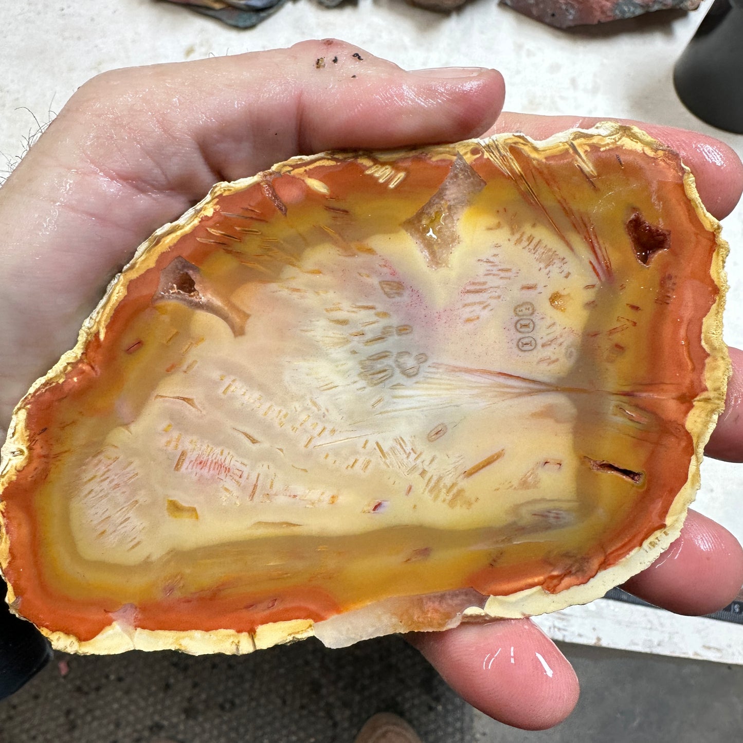 TUBE AGATE Slab - 156 grams